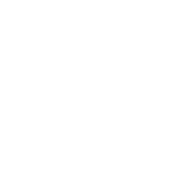 logo-big-white